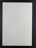 Built to Spill / Meat Puppets — The Fillmore — Matt Leunig, Offset Lithograph (2008)