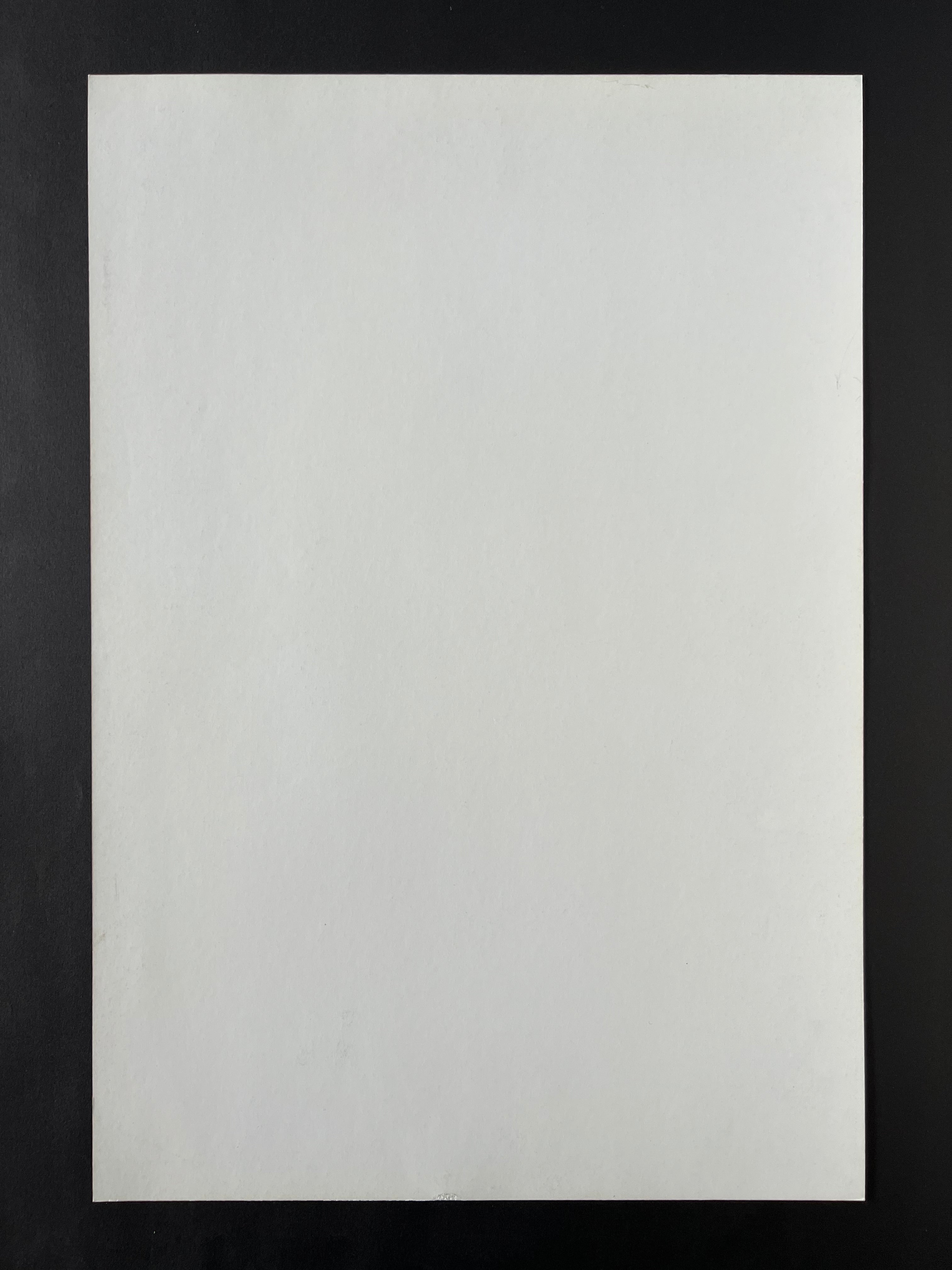 Cold War Kids / Alec Ounsworth — The Fillmore — Brad Kayal, Offset Lithograph (2010)