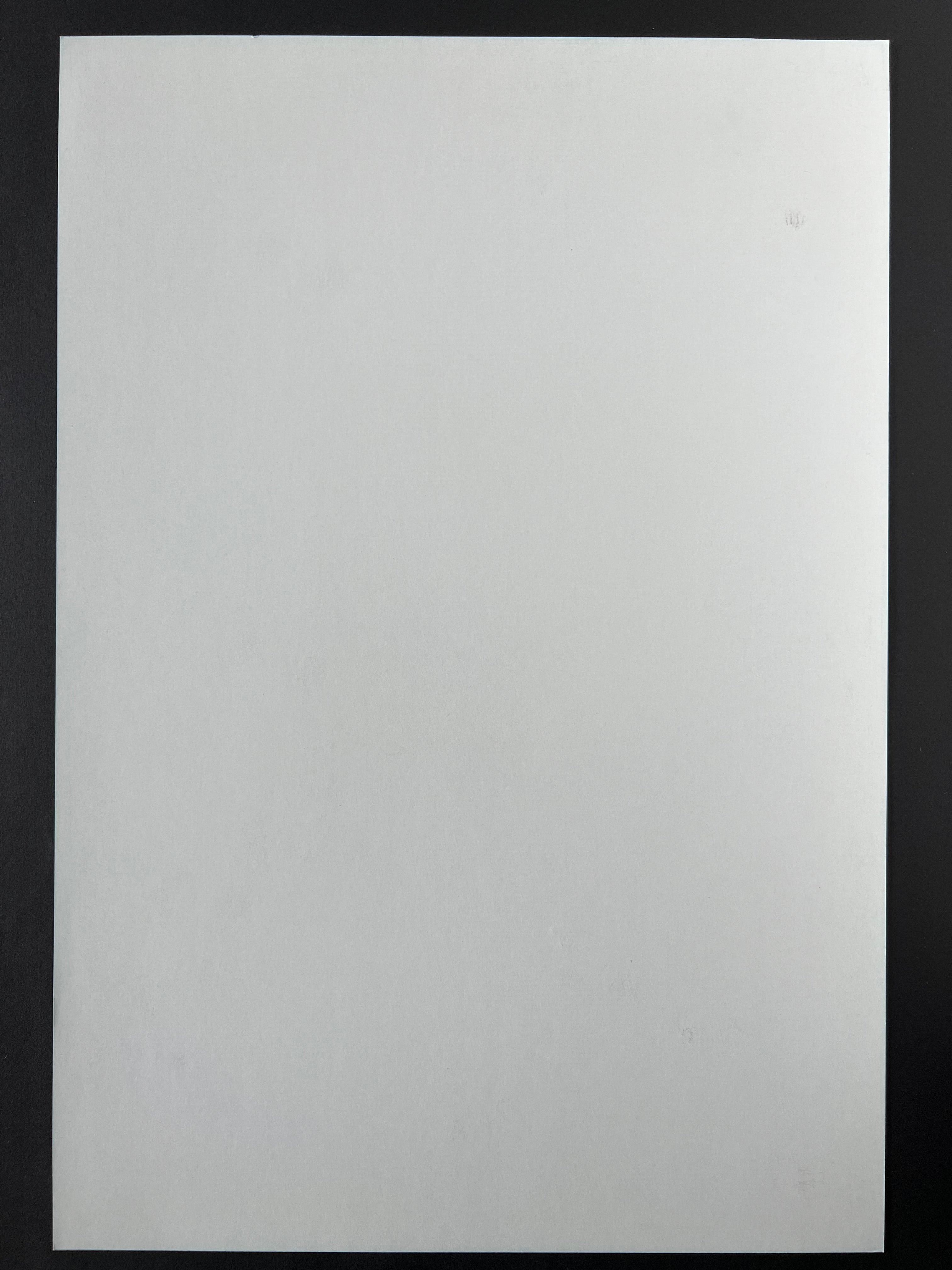 Edward Sharpe and the Magnetic Zeros / Dawes — The Fillmore — Matt Leunig, Offset Lithograph (2010)