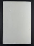 Hot Chip — The Fillmore — Zachariah O'Hora, Offset Lithograph (2008)