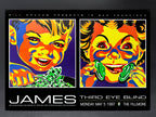 James / Third Eye Blind — The Fillmore — James A. Winters / Arlene Owseichik, Offset Lithograph (1997)