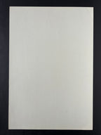 Midnight Oil — The Fillmore — Amacker Bullwinkle / Arlene Owseichik, Offset Lithograph (1996)