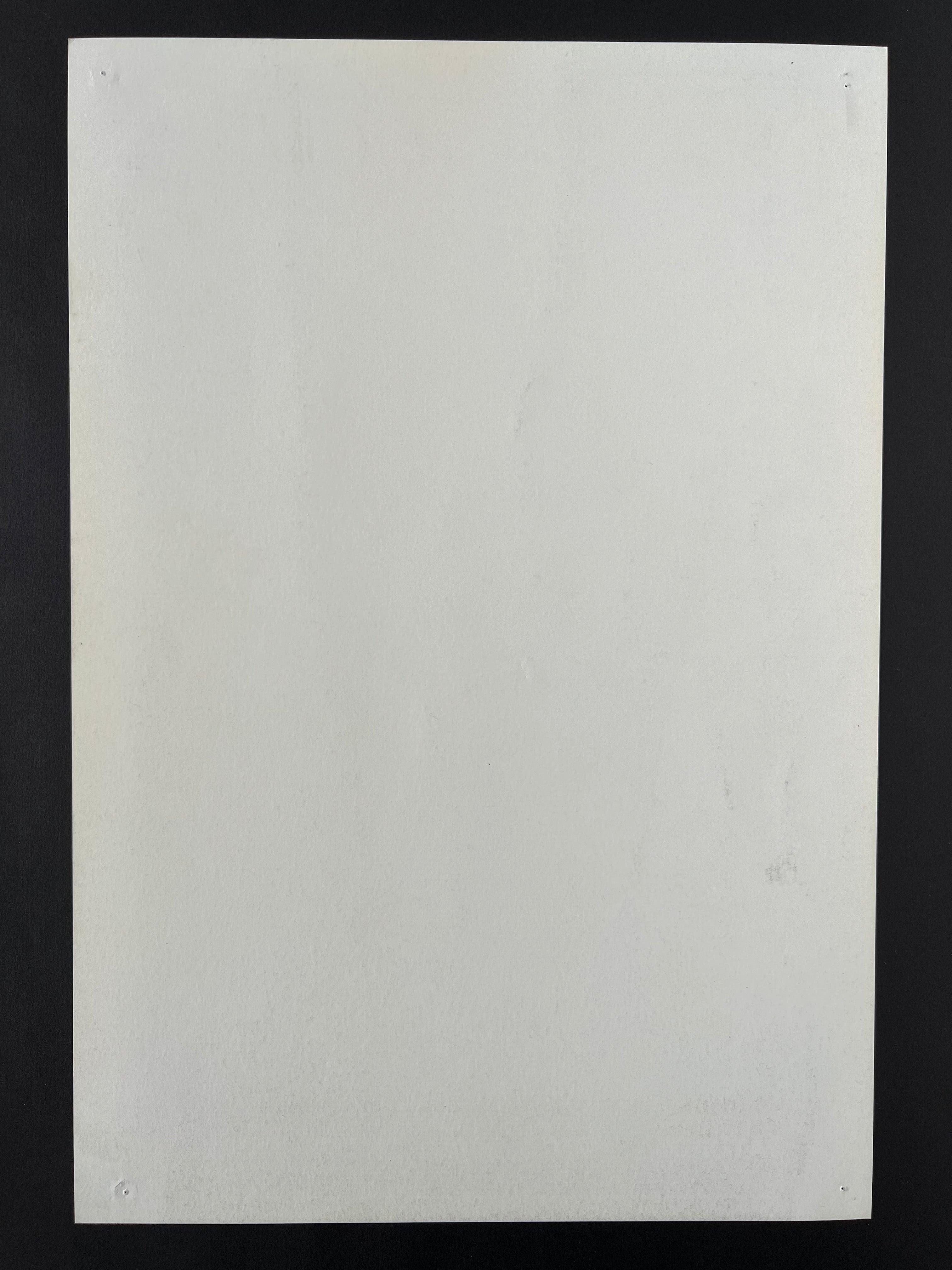Rogue Wave / Grand Ole Party — The Fillmore — John Mavroudis, Offset Lithograph (2008)