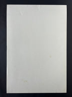Spearhead / Ben Harper / Aceyalone / Brooklyn Funk Essentials — The Fillmore — Randel Chavez, Offset Lithograph (1995)