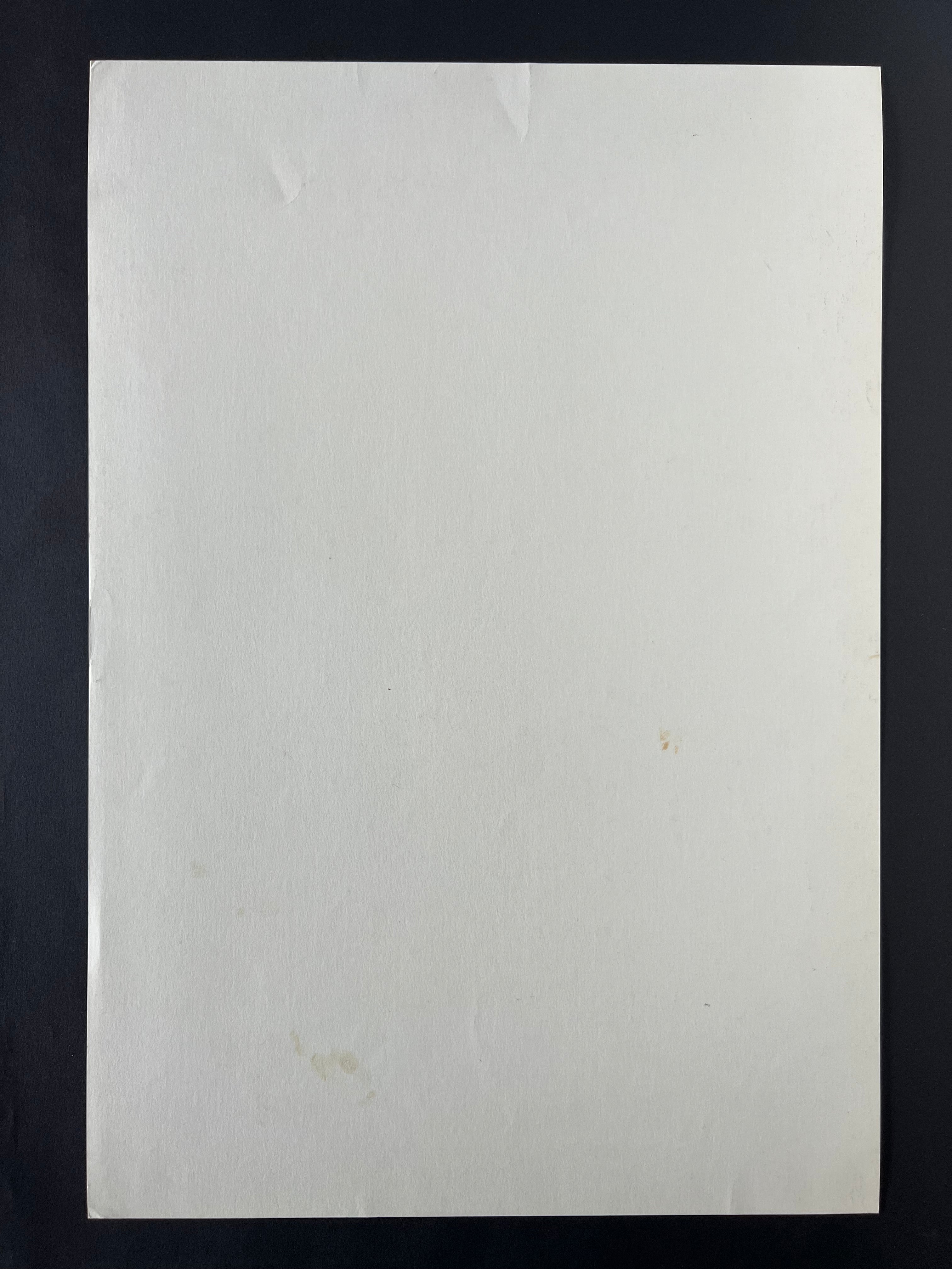 Spearhead / Ben Harper / Aceyalone / Brooklyn Funk Essentials — The Fillmore — Randel Chavez, Offset Lithograph (1995)