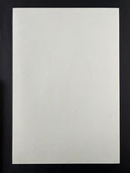 Zach Galifianakis — The Fillmore — Lisa Eng, Offset Lithograph (2006)
