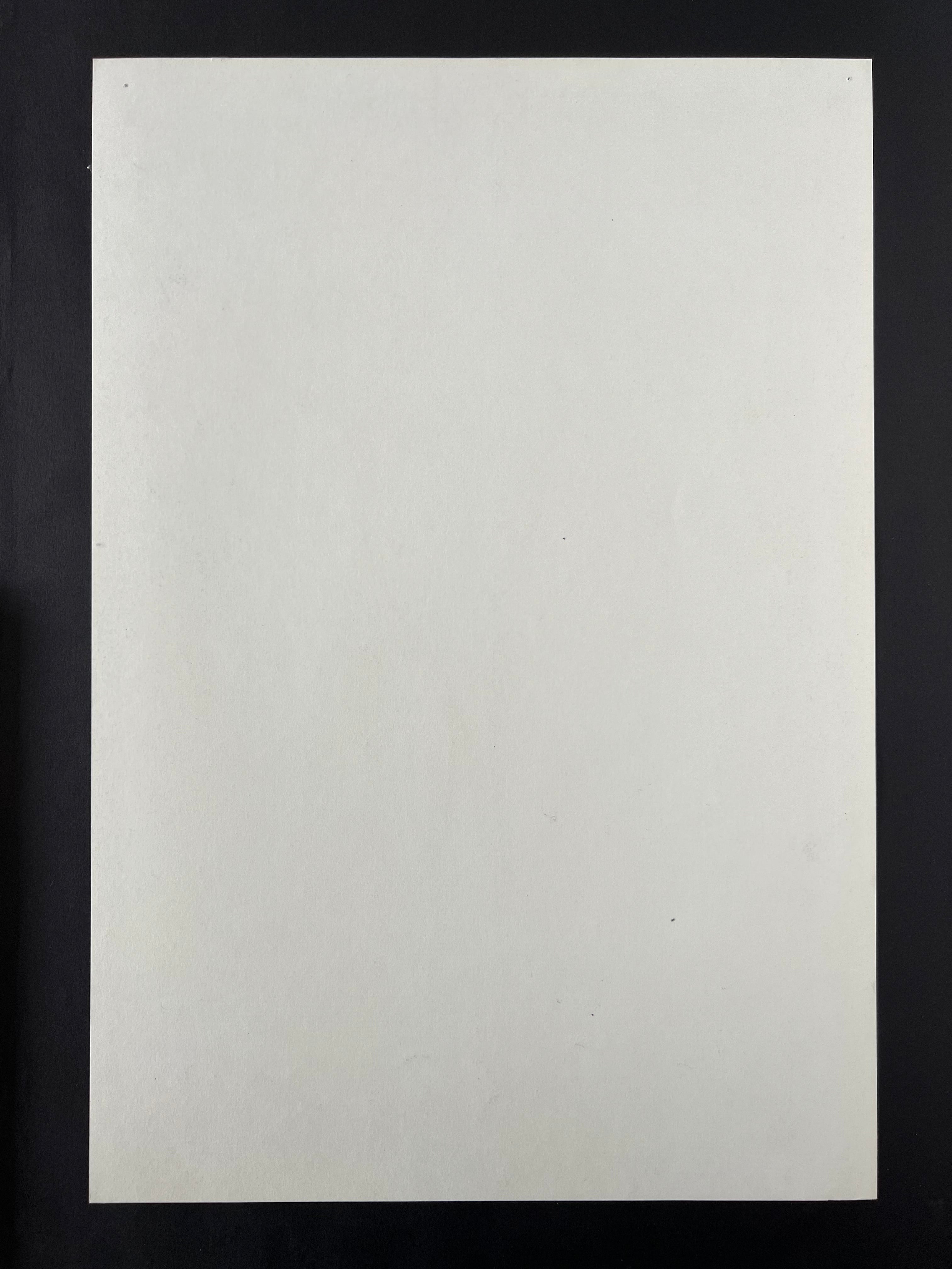 Zach Galifianakis — The Fillmore — Lisa Eng, Offset Lithograph (2006)